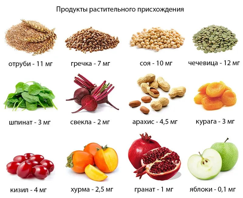 продукты богтаые железом